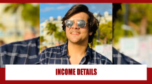 Ashish Chanchlani And His Real Income Details
