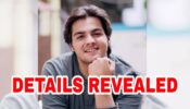 Ashish Chanchlani and his real life income details REVEALED