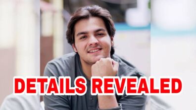 Ashish Chanchlani and his real life income details REVEALED