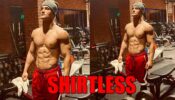 Asim Riaz goes shirtless in stunning picture, fans feel the heat