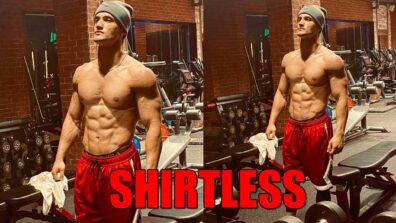 Asim Riaz goes shirtless in stunning picture, fans feel the heat