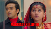 Barrister Babu Spoiler Alert: Anirudh and Bondita take reverse pheres to terminate their marriage