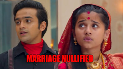 Barrister Babu Spoiler Alert: Anirudh and Bondita take reverse pheres to terminate their marriage