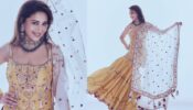 Dhak Dhak Girl: Madhuri Dixit looks like a resplendent queen in latest photos, fans go bananas
