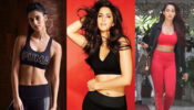 Disha Patani Vs Katrina Kaif Vs Nora Fatehi: Who is the fittest B-Town actress? Vote now