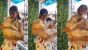 Don’t miss the end: Erica Fernandes caught on camera playing with her cute pet dog, video goes viral