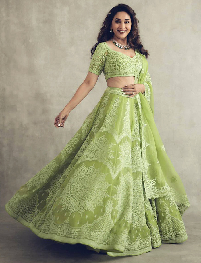 Evergreen Beauty Madhuri Dixit In Green Lehenga, Looks Mesmerizing - 0