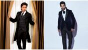 Here’s Everything You Should Know About Shah Rukh Khan To Varun Dhawan, Check Out Here