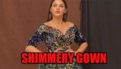 Himanshi Khurana Burned The Oomph Quotient With Her Elegant Shimmery Gown