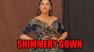 Himanshi Khurana Burned The Oomph Quotient With Her Elegant Shimmery Gown
