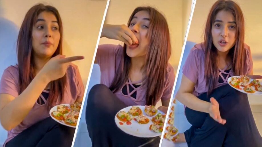 Hina Khan, Jasmin Bhasin, Shehnaaz Gill: Here’s A Look At TV Actresses Favourite Food - 0