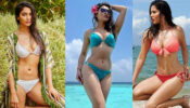 [Hot Summer] Pooja Hegde, Urvashi Rautela  Hottest Unseen Bikini Moments To Crush On