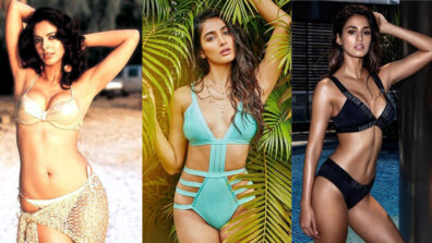 Hottest Bikini Photos of Mallika Sherawat, Pooja Hegde & Disha Patani