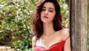 Is Ananya Panday single or in a relationship? Know The Truth