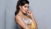 Is Jacqueline Fernandez Single Or In A Relationship?