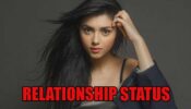 Is Mallika Singh Single? Check Out Her Relationship Status