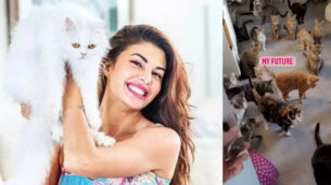 Jacqueline Fernandez reveals her ‘future’ plans, fans curious