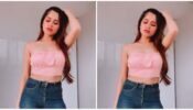 Jannat Zubair’s recent reel in blush pink crop top and denim is just fascinating, go have a look