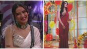 Jasmin Bhasin looks absolutely gorgeous in sarees, see pictures here