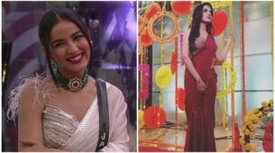 Jasmin Bhasin looks absolutely gorgeous in sarees, see pictures here