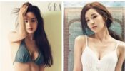 K-Pop Babe: Nam Gyuri’s Super Hot Bikini Picture Will Stab Your Heart