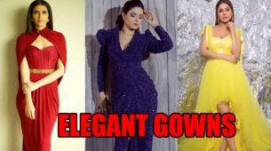 Karishma Tanna, Jasmin Bhasin, Shehnaaz Gill: Who Has The Gorgeous Collection Of Elegant Gowns? Find Out