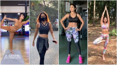 Malaika Arora Vs Shilpa Shetty: Which Diva Has The Best Sports Bra Collection?