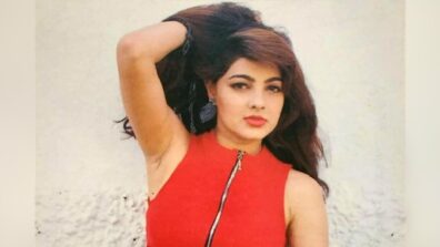 Mamta Kulkarni, What Happened To You?