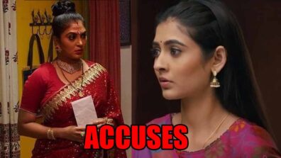 Mehndi Hai Rachne Waali spoiler alert: Sulochana accuses Pallavi of being pregnant