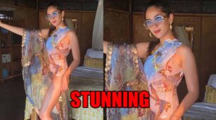 Mira Rajput looks stunning in swimsuit, fans love it