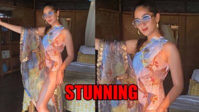 Mira Rajput looks stunning in swimsuit, fans love it