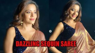 Monalisa Melts Netizens By Her Dazzling Sequin Saree Look With Sleeveless Blouse