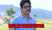 All Details You Need To Know About South Superstar Nagarjuna’s Role In Brahmastra Movie