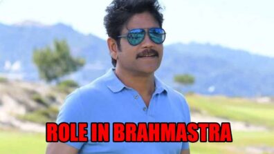 All Details You Need To Know About South Superstar Nagarjuna’s Role In Brahmastra Movie