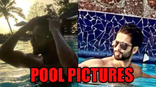 Oh So Hot!! Sizzling Pool Looks Of Shahid Kapoor Will Make You Sweat, Have A Look