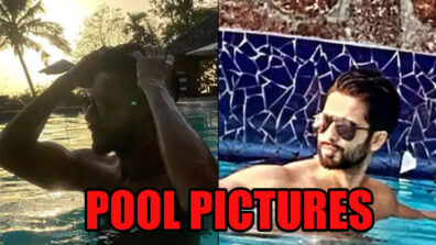 Oh So Hot!! Sizzling Pool Looks Of Shahid Kapoor Will Make You Sweat, Have A Look