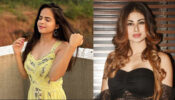 OMG: Palak Sindhwani & Mouni Roy share cryptic quotes on social media, fans surprised & worried