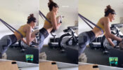 ‘PAW’orkout: Jacqueline Fernandes has a special workout partner in her cat, fans melt in AWE