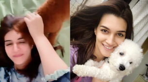 Pet Love: Kriti Sanon pampers her pet dog in the sweetest manner, netizens go aww