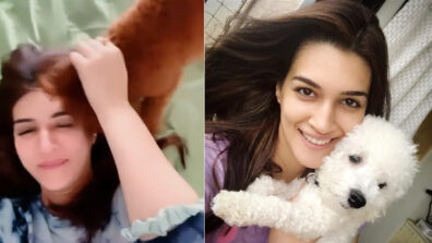 Pet Love: Kriti Sanon pampers her pet dog in the sweetest manner, netizens go aww