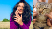 Pet Love: TMKOC’s Nidhi Bhanushali pampers her cat like her daughter, fans melt in awe