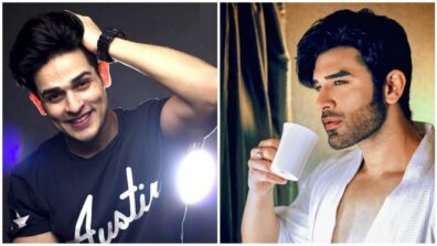 Priyank Sharma vs. Paras Chhabra: Vote the most versatile actor of television?