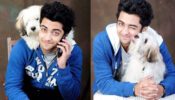RadhaKrishn fame Sumedh Mudgalkar pampering session for his pet dog will melt your heart