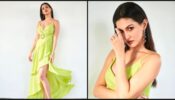 Radiant Looks Of Amyra Dastur Raised The Heat, See Here