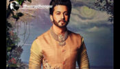 Kundali Bhagya Fame Dheeraj Dhoopar Opens Up On How Industry Limits Small Screen Artists; Says, ‘People Just Assume That We Are Busy With Daily Soap…’