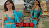 Rubina Dilaik gives boss lady vibes in latest pictures