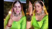 Watch Now: Bhojpuri diva Sapna Choudhary sets the internet on fire with her sensuous dance moves, check ASAP