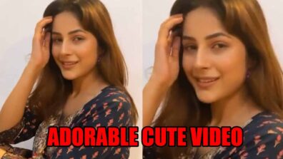 Shehnaaz Gill shares latest adorable cute video, fans go aww