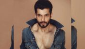 People form an opinion based on the number of followers one has on social media: Sharad Malhotra