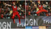 Stunning Catches By AB de Villiers in the IPL